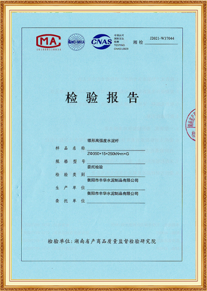 检查报告